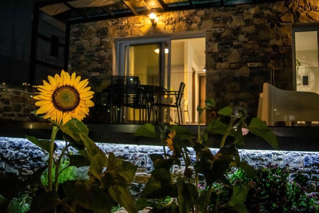Istron Avra Apartment Kalo Chorio  Exterior foto